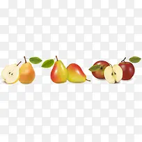 矢量新鲜水果 梨和苹果