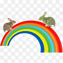 彩虹上的兔子素材
