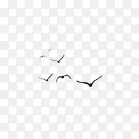 大雁空中飞翔图片