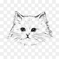 猫咪素描免抠素材