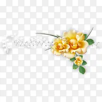 黄色花朵丝带装饰图片