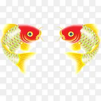 两只鲤鱼图片