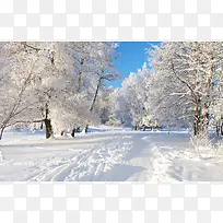 高清创意摄影合成雪地大树