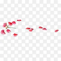 花瓣红色花瓣落地漂浮图片