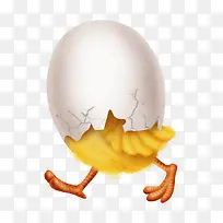 小鸡身上的蛋壳