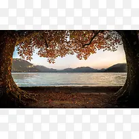 秋色风景高清壁纸