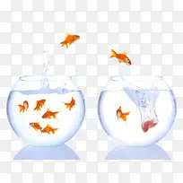 装饰图案鱼在鱼缸之间跳跃