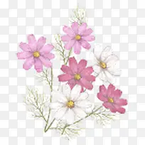 春天粉色室外花朵
