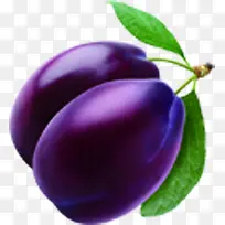 摄影水果紫色李子