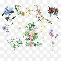 韩国小清新手绘花朵