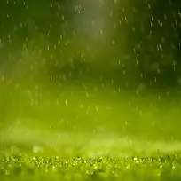 绿色雨点大屏背景