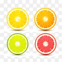 切开的橙子矢量图
