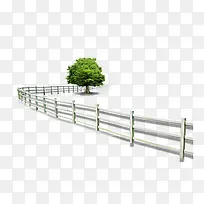 围栏里的绿树