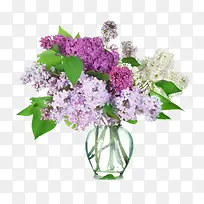 紫薇花桌花图片素材