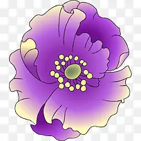 紫色的花瓣图案