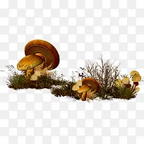 蘑菇草地漂浮