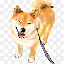 黄色的柴田犬