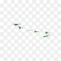 飞鹅空中集中飞翔素材