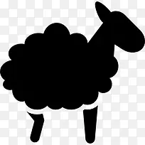 羊与羊毛图标