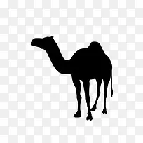 骆驼黑白图