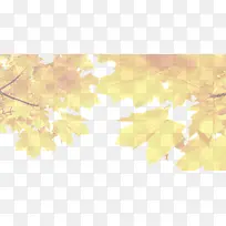 黄色树叶背景