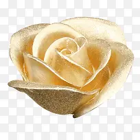 漂亮金色玫瑰花