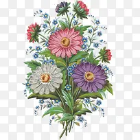 手绘彩绘多色菊花植物