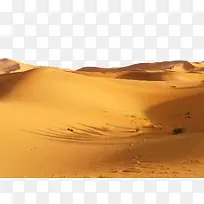 黄色沙漠