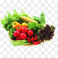 蔬菜生鲜康复宣传彩页