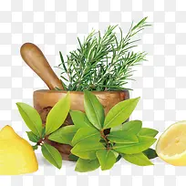 植物，柠檬，绿色，黄色