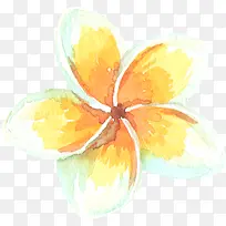 手绘水彩黄白色花朵