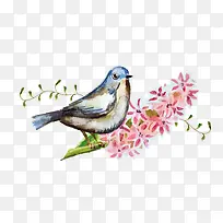 卡通精美的花朵与鸟