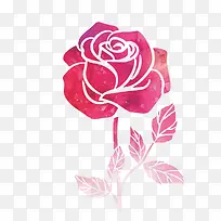 手绘粉色水墨玫瑰