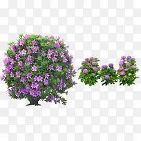 园艺种植