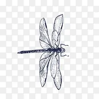 蜻蜓 动物昆虫 单色 黑色