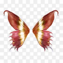 红色斑纹蝴蝶翅膀