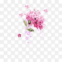 粉色花卉图案