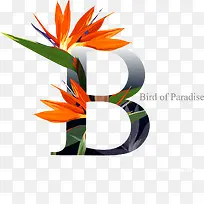 花卉字母B