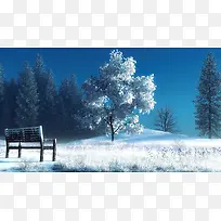 雪地冬季大树凳子海报背景