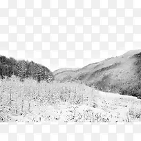 灰色高清冬季雪地风景