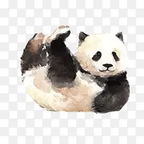 国宝熊猫玩耍素材图片