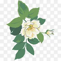手绘白色花卉春节卡片