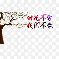 时光不老我们不散