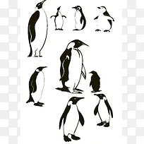 黑白企鹅设计元素