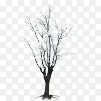 冬季树枝主题马甲海报