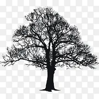 大树树冠黑色欧式花纹