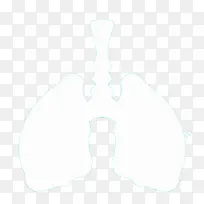 肺的外形