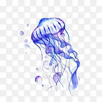 紫色海洋水母