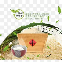 粮食丰收