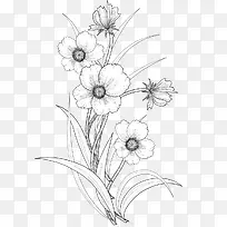 素描盆栽花朵图案